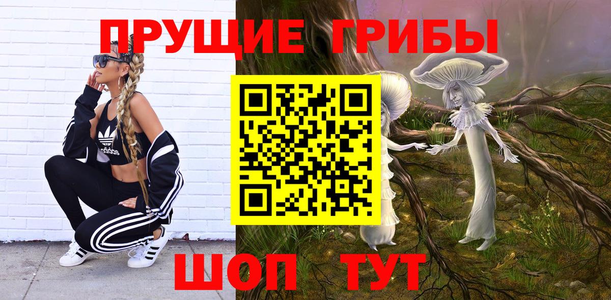 Псилоцибиновые грибы Cubensis  Вход с VPN  Галлюциногенные грибы Psilocybe  Тосно 