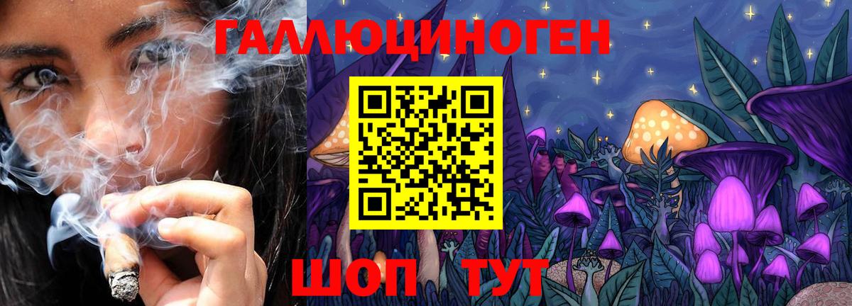 Псилоцибиновые грибы прущие грибы Тосно